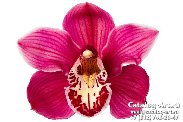 Натяжные потолки с фотопечатью - Розовые орхидеи 72